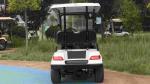 2 Passenger Terminator 48V Electric Golf Cart New Energy 5KW OEM