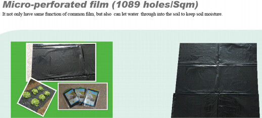 Transparent / Black / Silver / White color Plastic PE LDPE Agriculture Mulching Film,panda strawberry mulch film/black w