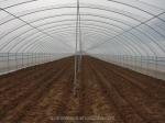 PE Tunnel Greenhouse for Hydroponic Tomato Cultivation Easy Assembly Length 10