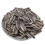 Raw Materials Price factory Supply China raw sunflower seeds ready for loading