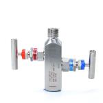 304 Stainless Steel Integrated Two Valve Group Coplanar Flange Mounted Pressure