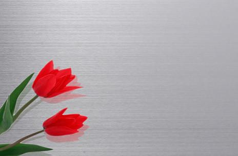 Buy cheap No.3 / HL Finish Cold Rolled Stainless Steel Sheet Prime Grade Material from wholesalers
