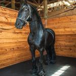 Dual Sided Decorative Lawn And Racecourse Stepping Stone Rubber Horse Stable