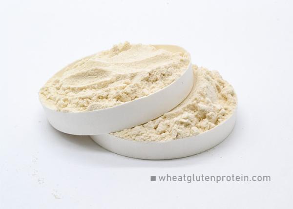 Buy cheap Water Insoluble Vital Wheat Gluten 2 Years Shelf Life HACCP / KOSHER Approval from wholesalers