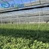 Buy cheap Arched Roof Mushroom Cultivation Sunlight Greenhouse Package Gross Weight 1000.000kg from wholesalers