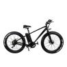 Buy cheap 48V 15AH Electric Mountain Bike with 750W Motor and Non-Foldable Aluminum Alloy Frame from wholesalers