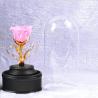 Buy cheap High quality long lsting preserved rose in glass with lid light from wholesalers