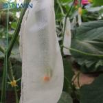 Polypropylene NonWoven Fruit Tree Protection Bags 18gsm