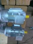 IP55 Asynchronous 3 Phase Motor B3 Mounting Aluminium Housing MS Electric Motor