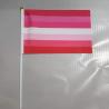 Buy cheap Printed Double Sided Pride Flag Hand Held 100% Polyester Material from wholesalers