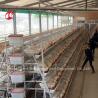 Buy cheap 8 Tiers Steel Chicken Cage For Laying Eggs Iris from wholesalers