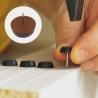 Buy cheap Wooden Furniture 15mm Nail On Glides Plastic Material With OEM Customized from wholesalers