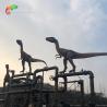 Buy cheap Outdoor Decoration Velociraptor Animatronic Waterproofing Realistic Dinosaur Models from wholesalers