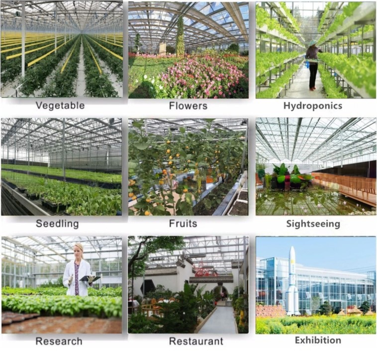 Super Strong Resistance Venlo Glass Greenhouse for Commercial Agricultural Turnkey Project