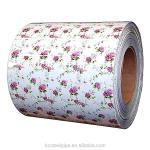 Color Coated Prepainted Galvanized Steel Coil PPGL PPGI For Construction