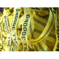 Buy cheap High Tenacity Polyester Round Sling , Soft Round Sling TUV CE GS approved product