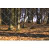 Buy cheap 3 foot chain link fence 1.8mx10x50mmx50mm2.5mm, 29kg from ". Victoria " from wholesalers