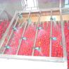 Buy cheap Full Automatic Fruit Vegetable Processing Machinery 415V Industrial Equipment from wholesalers