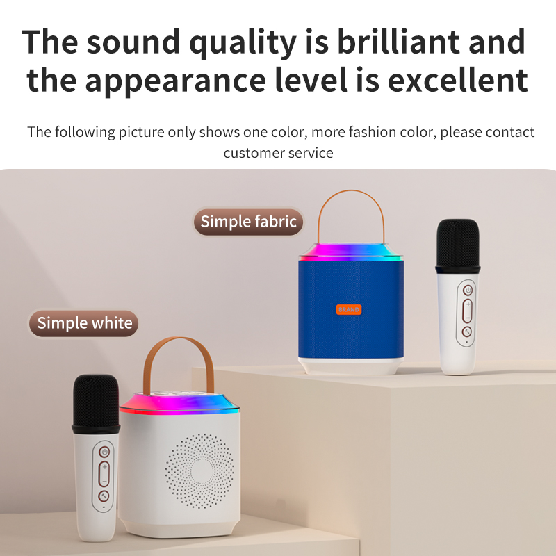 Outdoor DJ Party Karaoke Speaker With Wireless Microphone And Bluetooth Communication