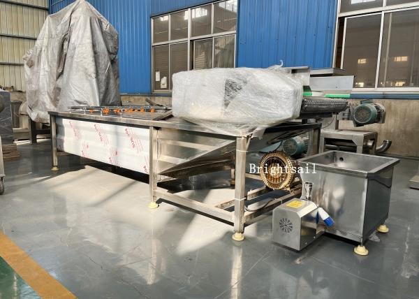 Buy cheap Food Industry Fruit Vegetable Chili Air Bubble Washing Machine from wholesalers