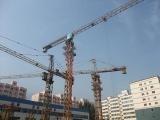 8t 48m Construction Potain Tower Crane (TC5811) 58m Jib Length , 1.1t Rated load