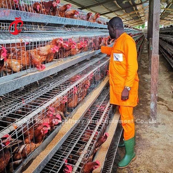 Buy cheap Galvanized Poultry Layer Cage 3 Tier 120 Birds And 4 Tier 160 Birds Layer Farming Cage Sandy from wholesalers