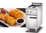 Durable 1.23kg/H 18L Commercial Gas Deep Fryer