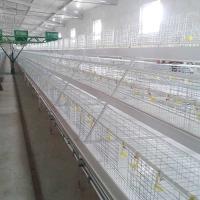 Buy cheap 1.4m × 0.7m × 0.4m Battery Type Cage , Auto Drinking Layer Farming Cage product