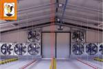 industry centrifugal exhaust fan