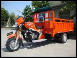 Gasoline 250cc Three Wheel Motorcycle Cargo Use Adult Tricycle Motorized