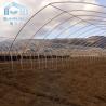 Buy cheap Agriculture Plants Growing Farming Polyethylene Film Single Span Tunnel Plastic Greenhouse from wholesalers