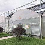 Industrial Plastic PE Film Multi-span Agricultural Flower House Poly Tunnel