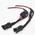 Oceania Main Market 9 Pin Female Housing Terminal Wire Harness for Copper