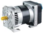 3KW 5KW 2-Poles High Output Alternator Selft-Exciting Double Bearing Alternator