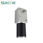 20NM Dc Worm Gear Motor High Torque 12V 24V 1rpm Adjustable Speed
