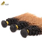 100% Unprocessed Brazilian Hair 1b/27# Color Wholesale Virgin Human Hair Bundles