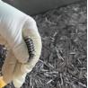 Buy cheap Customized Loose Needle Roller Bearing Pins Stainless Steel Needle Roller Bearing Pin for Self-aligning Roller Bearings from wholesalers