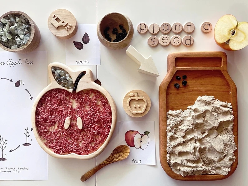 Wood Tinker Sensory Sorting Tray Homeschool Lesson Play Board Plate Spring Toy Montessori Seed Nature Fruit Lifecycle