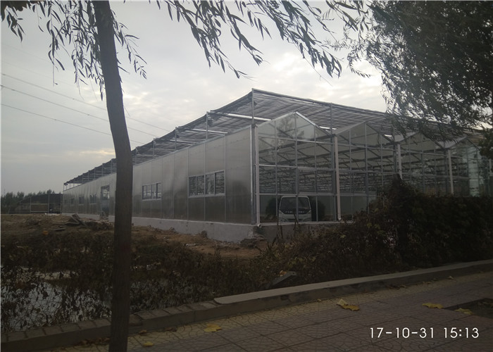 Smooth Visual Appearance PC Sheet Greenhouse Low Heating Energy Consumption