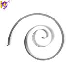 OEM Spiral Constant Force Spring Flat Clockwork Springs Coil