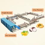 SUS304 Material Potato Chips French Fries Machine for Holland Turkey Production