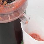 Masticating Juicer Raw Juice Squeezer Household Residue Juice Separation