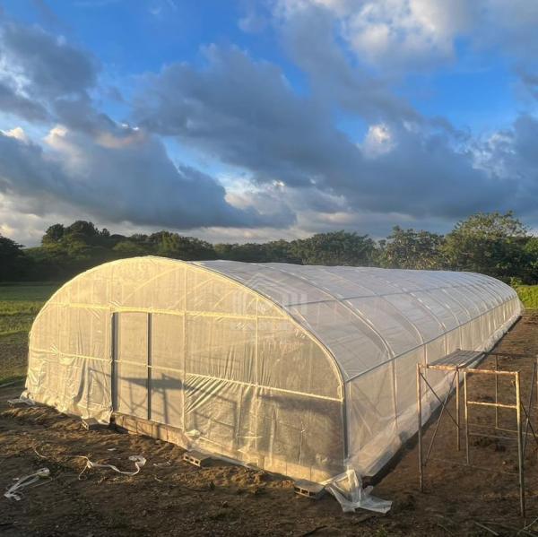 Buy cheap Plastic Film Conservatory Hothouse Hoop House Polytunnel High Tunnel Greenhouse from wholesalers