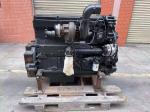 2010- Cummins Engines 4BT Assembly Diesel Engine Model for Original Cummins 4BT