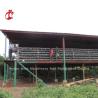 Buy cheap Automatic Poultry Battery Cage System Coated Wire With Long Lifespan Nigeria Sandy from wholesalers