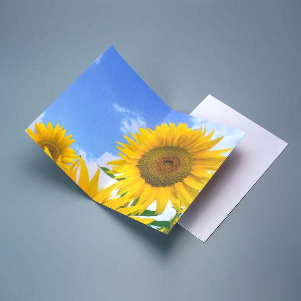 Buy cheap High Quality Factory Wholesale Custom Printing 3D Motion Effect Lenticular Card from wholesalers