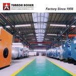WNS 10 Ton 10tph Gas Diesel Fuel Steam Boiler For Beverage Factory