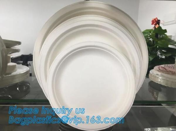 Buy cheap Compostable biodegradable dinner plate corn starch plate,Elegant Disposable Corn Starch Bio Plastic Dinner Plates bagpla from wholesalers