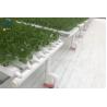 Buy cheap Customized Hydroponic NFT Pipe Greenhouse Flat PVC Tube Hydroponic Systems from wholesalers