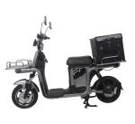 1000W Single Speed Electric Cargo Bike With 7 Speed Derailleur And Long Range